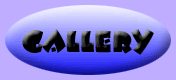 Photo Gallery